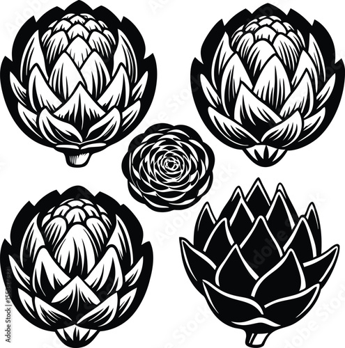 Stylized black and white artichoke illustrations featuring intricate leaf patterns and a central floral design