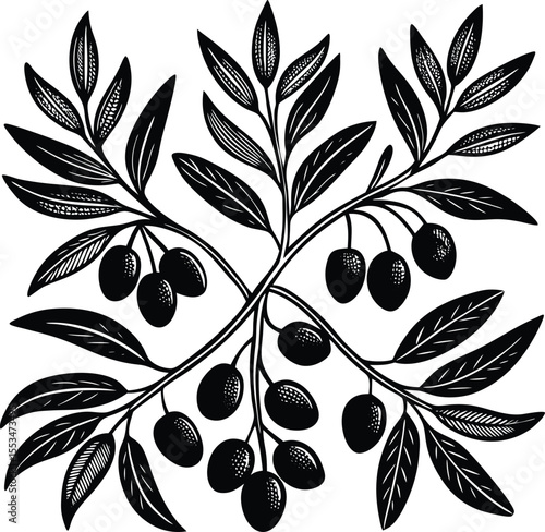 Stylized black and white illustration of intertwined olive branches with dark olives and detailed leaves