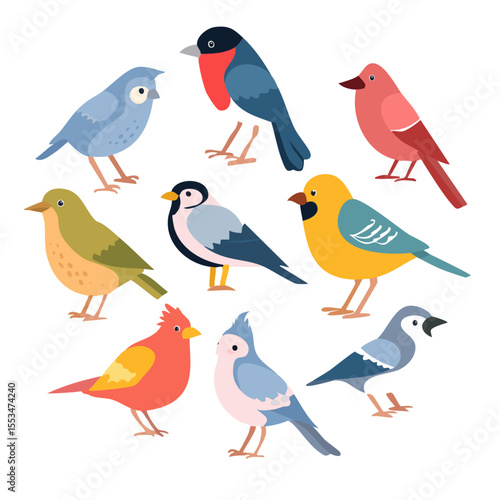 Bird illustration set 鳥 イラスト セット 6
