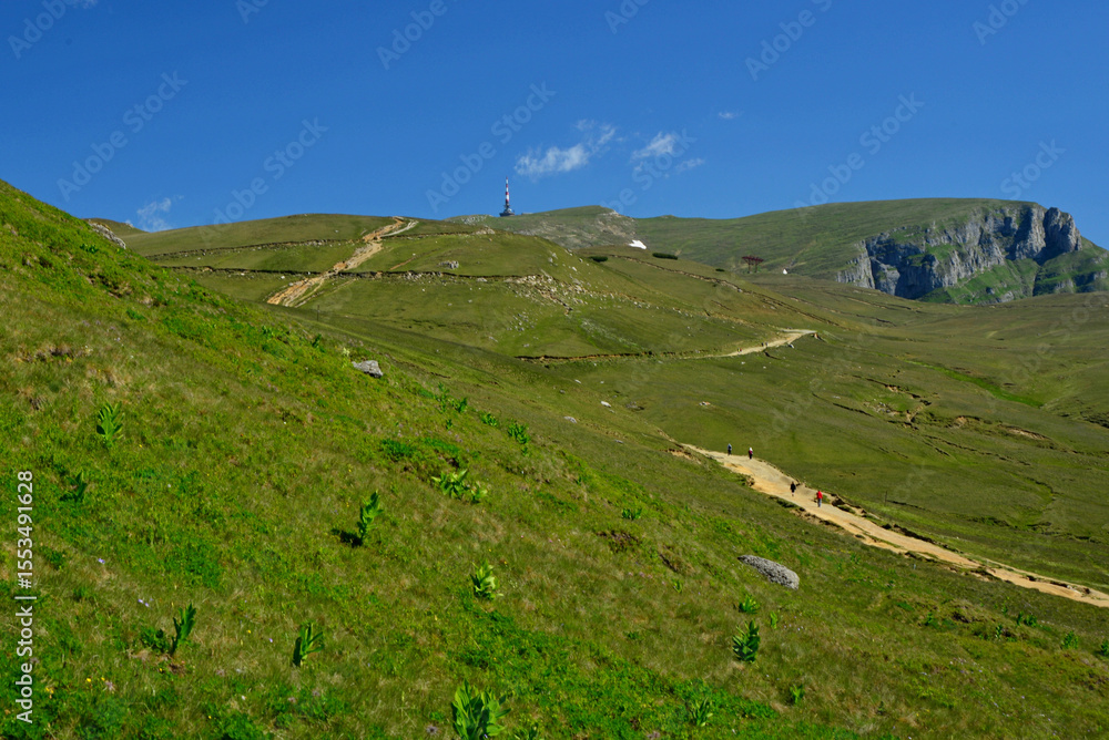 Obraz premium Green waving hills of the Carpathian Mountains in the Bucegi area and hikers heading to the Caraiman Cross