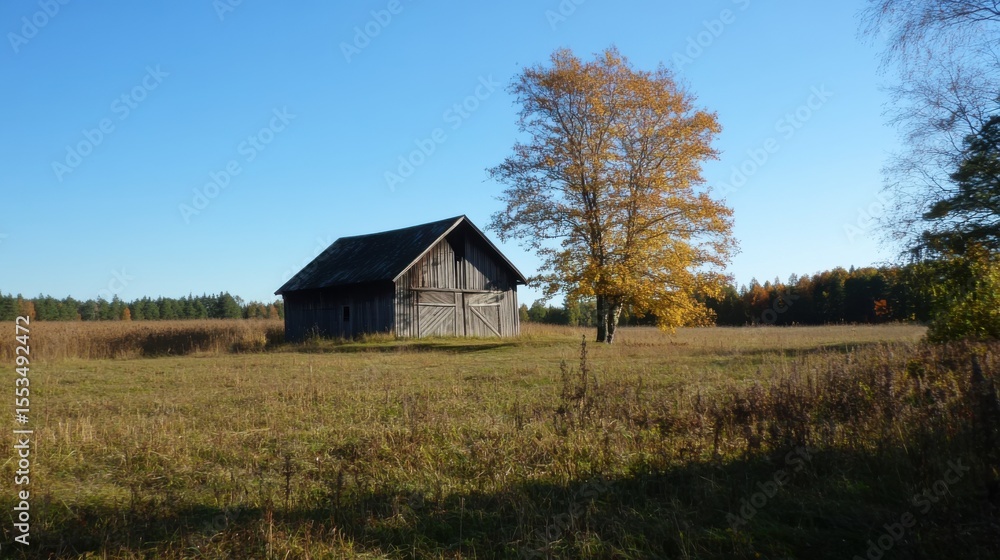 Autumnal Barn in a Tranquil Field. Autumnal Barn in a Tranquil Field.