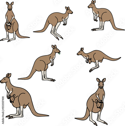 Kangaroo Clipart: Six Poses of Australian Marsupials for Design Projects