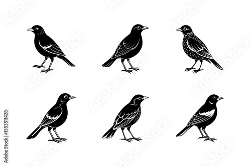 mynah bird silhouette art illustration
