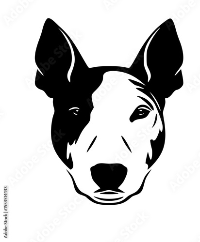 bull terrier