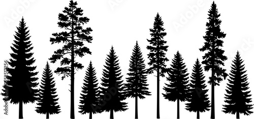 A set of pine trees silhouette vector
