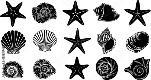 Sea Shells and Starfish Silhouette Collection – Marine Life Vectors Set
