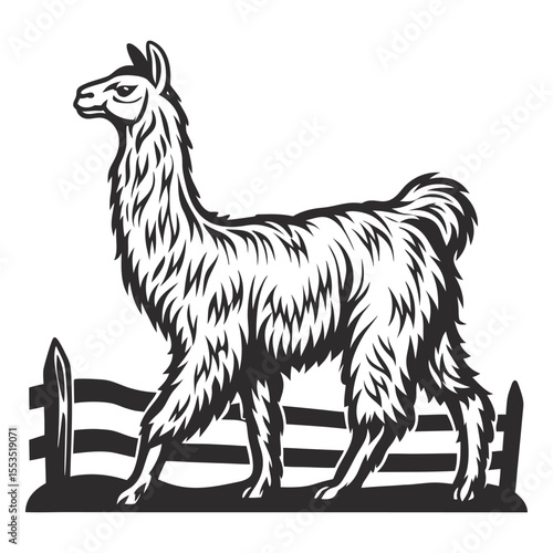 Vintage style illustration featuring a llama, alpaca, lama walking on grass, showcasing detailed fur and a serene expression, suitable for animal lovers, wildlife enthusiasts, and design projects