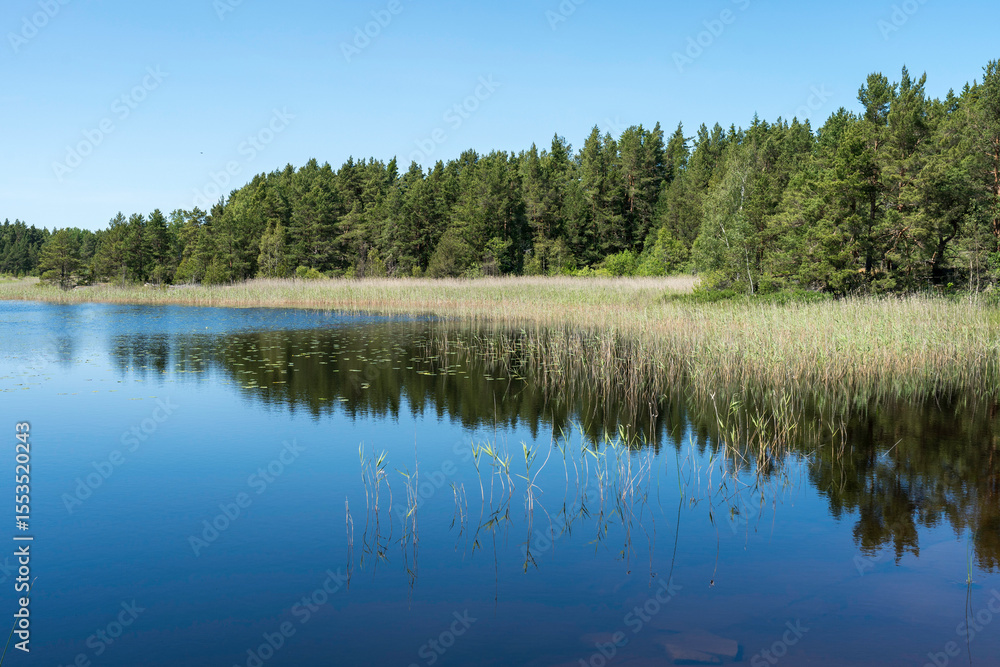 Fototapeta premium Nationalpark Tresticklan in Schweden