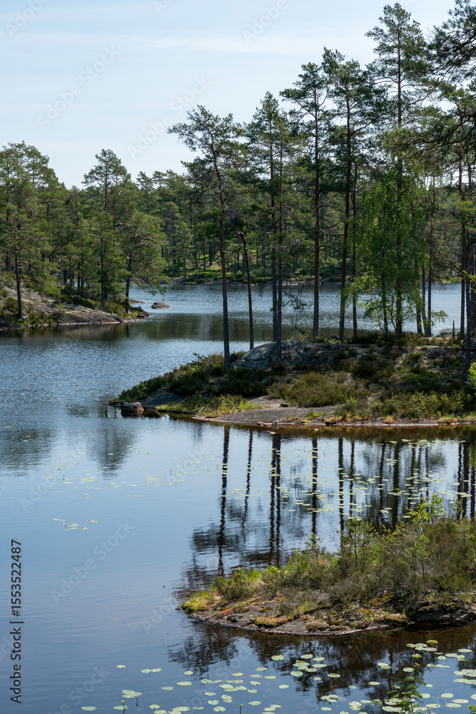 Obraz premium Im Nationalpark Tresticklan, Schweden