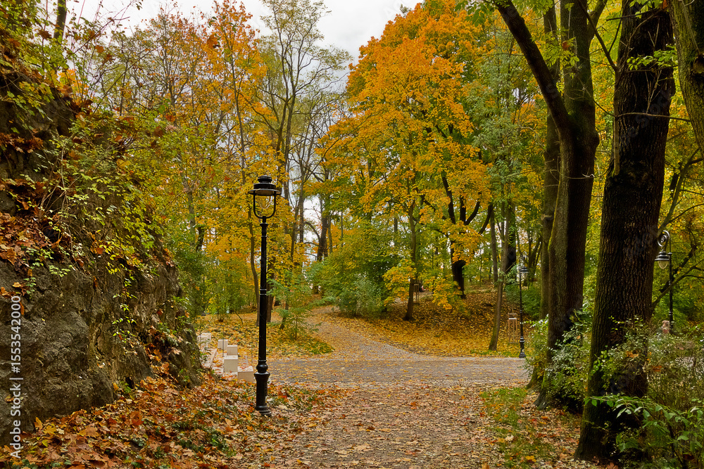 Naklejka premium autumn park with paths strewn with yellow leaves. Landscape with autumn trees and a lantern