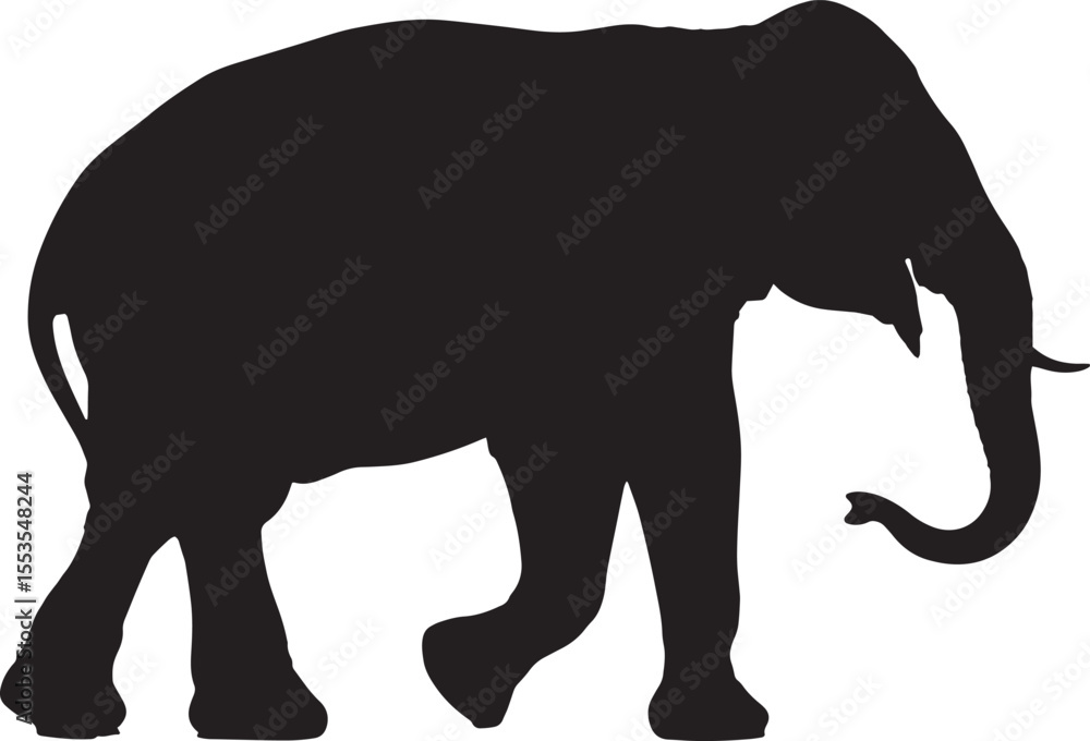 Obraz premium elephant silhouette vector