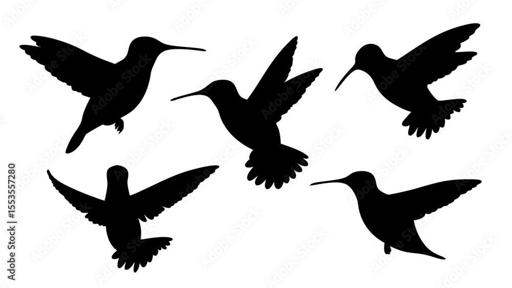 Fototapeta premium humming bird silhouette vector illustration on tranparent background