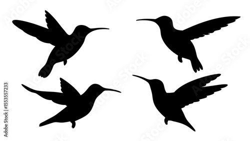 humming bird silhouette vector illustration on tranparent background