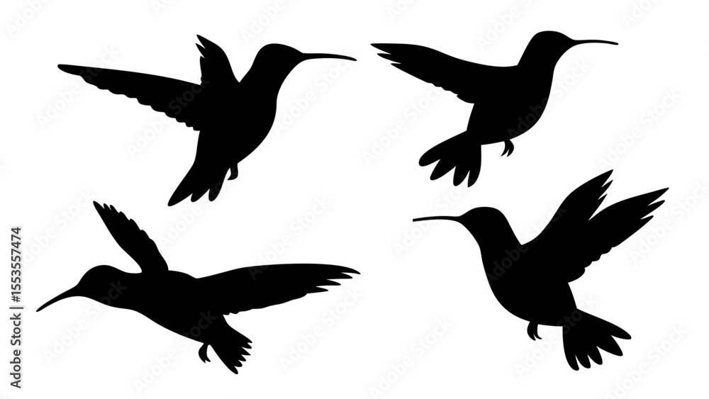 Obraz premium humming bird silhouette vector illustration on tranparent background