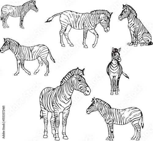 Elegant Zebra Line Art: Illustrations & Graphic Designs