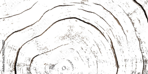 Wood grunge texture transparent white background. Abstract wood grunge distressed texture background.  vector weathered wooden plank board featuring natural textures and grooves, ideal for background.