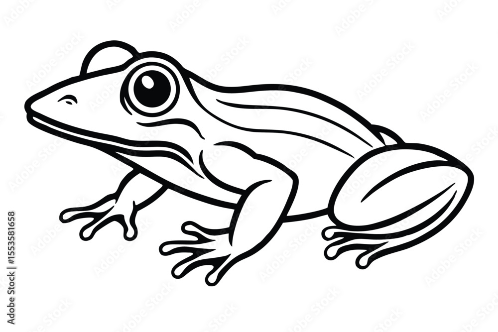 Naklejka premium Detailed monochrome frog illustration showcases bold outlines and intricate details of amphibian anatomy