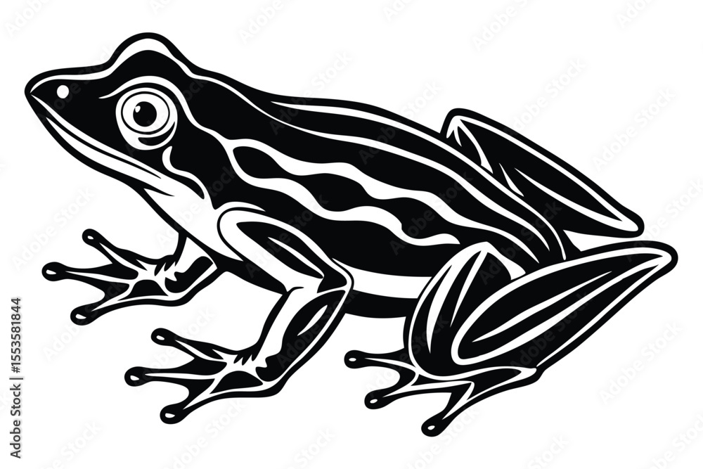 Naklejka premium The isolated black and white frog has a unique pattern on its body