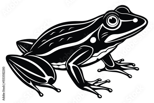 Isolated sketch shows a toad with detailed limb and eye features