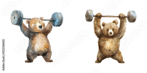 bear lifting weight watercolor vector illustration