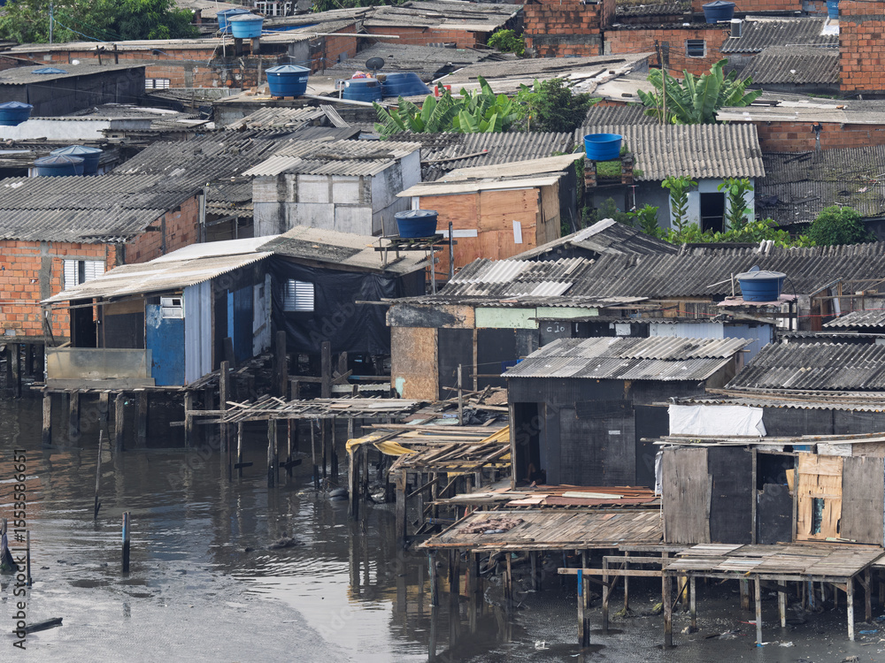 Fototapeta premium favela in santos extuary brasil near tev terminal