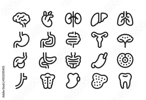 Collection of stylized line art icons representing various human organs and body parts