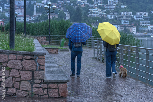 Fototapeta Naklejka Na Ścianę i Meble -  A couple with a dog walks by the lake in the rain.