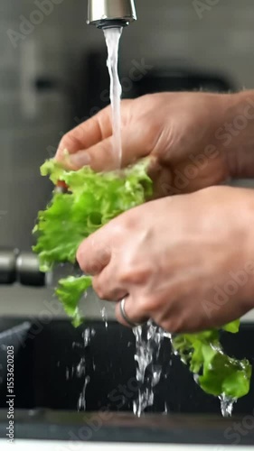 Close-up video of adult hands rinsing fresh green lettuce leaves under running water in a modern black kitchen sink with a stainless steel faucet process of washing vegetables
