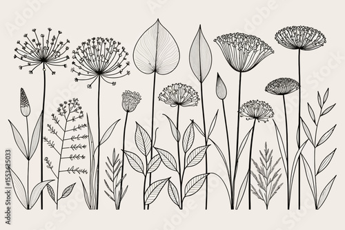 Elegant Botanical Line Art-Floral Illustration with Intricate Details-Minimalist Black and White Flower Design-Nature Inspired Drawing for Print and Decor