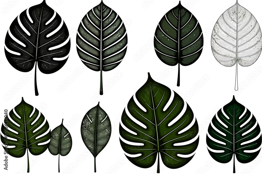 Fototapeta premium Tropical Leaves Illustration- Monstera Leaf Art- Botanical Decor- Lush Foliage Design- Green Leaf Pattern- Nature Inspired Art-Leaf Design for Interior