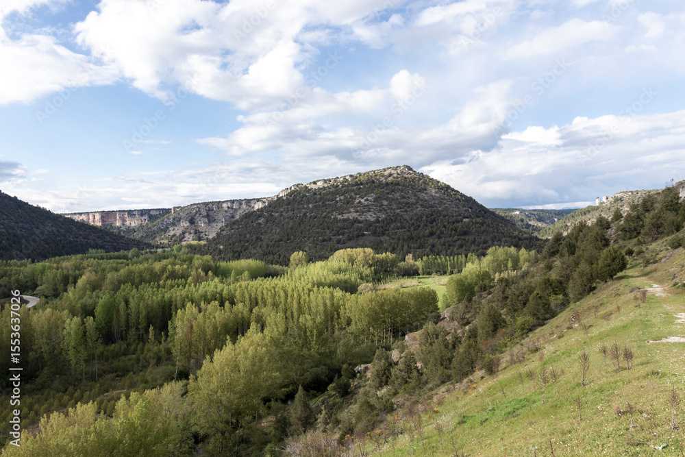 Fototapeta premium Breathtaking lobos river canyon landscape embracing green forest and majestic mountain under cloudy sky