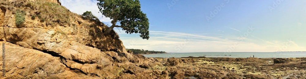 Fototapeta premium Rocky coastal panorama with tree and blue sky in scenic landscape header format