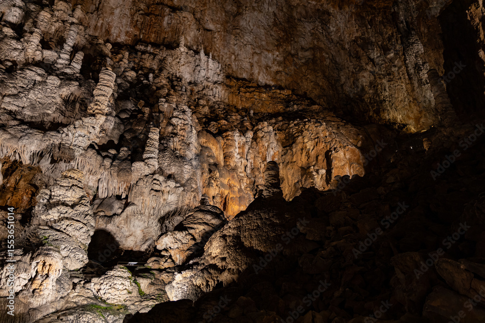 Obraz premium The stalactite cave Grotta Gigante is the deepest cave in Europe