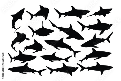 Ocean Predator Shadows: A captivating ensemble of sleek shark silhouettes gracefully navigate an underwater world, captured in a dynamic display of aquatic artistry.