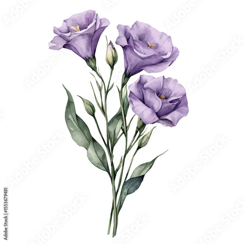 A Lisianthus Stem Bouquet, watercolor illustration vector, isolated on a white background.