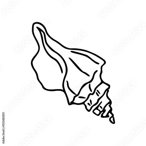conch shell line art