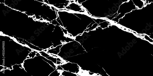 "High-contrast black marble texture with bold white veins. Luxurious and dramatic stone background ideal for interior design, branding, product mockups, digital art, or elegant visual content"