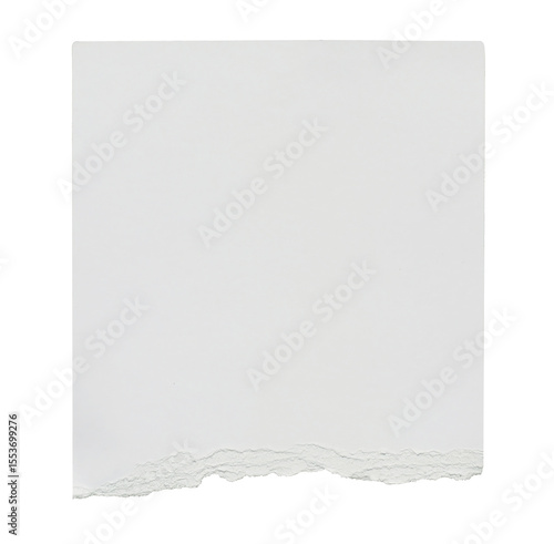 Piece of ripped torn paper isolated on transparent background. Modern minimal branding stationery mockup. Empty message note reminder card template Scrapbook element. Business office graphic object