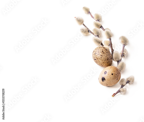 Pussy willow twigs with white catkins and quail eggs on a white background. Composition of Easter and Spring celebrate decoration.
