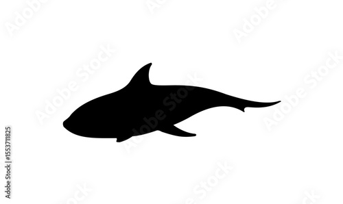 Silhouette of a shark swimming gracefully, a simple black-on-white design.