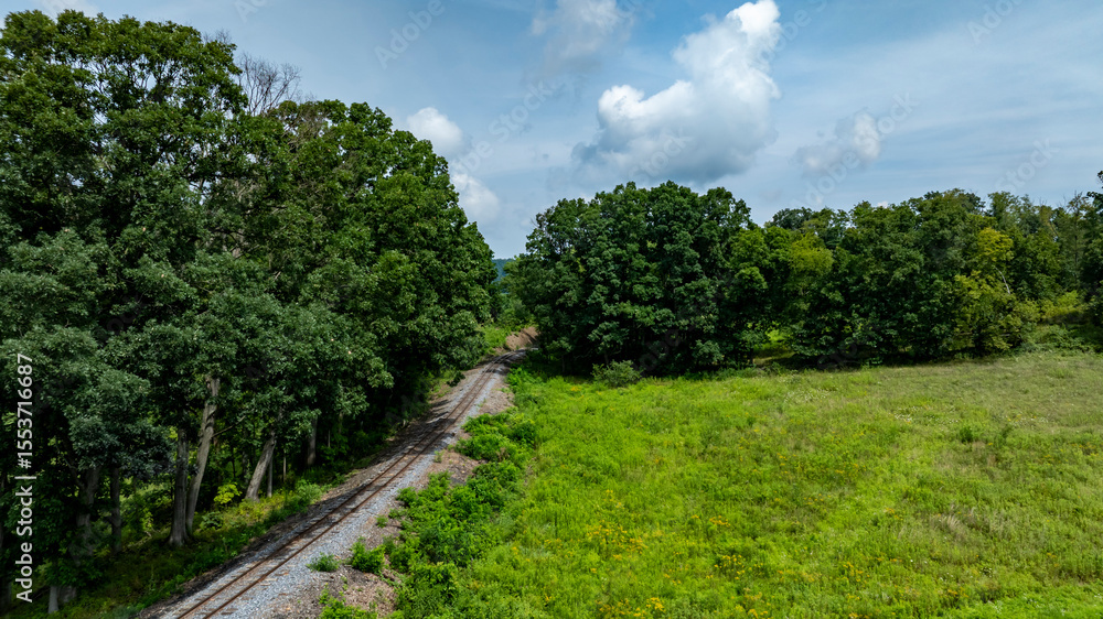 Abandoned railway tracks stretch through a vibrant green landscape, bordered by tall trees under a bright blue sky with fluffy clouds. Nature reclaims the old route in this peaceful setting. Abandoned railway tracks stretch through a vibrant green landscape, bordered by tall trees under a bright blue sky with fluffy clouds. Nature reclaims the old route in this peaceful setting.