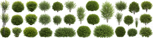 Lush Green Shrubs Collection White Background - A diverse collection of green shrubs, perfect for landscaping designs, garden planning, and architectural visualization.