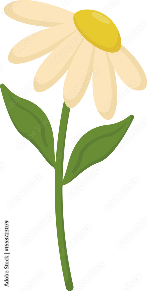 Obraz premium Assorted Floral Illustrations
