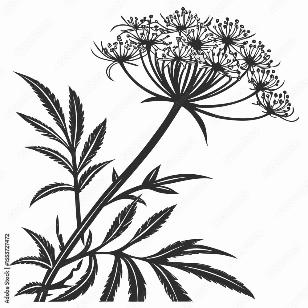 Naklejka premium black and white blood flower