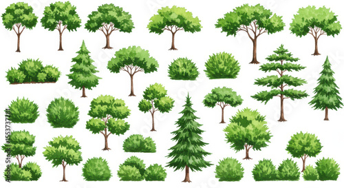 Green trees and shrubs collection