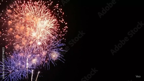 fireworks in the night sky