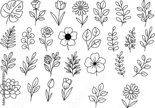 Minimalist Botanical Line Art Collection - Hand Drawn Floral Elements, Leaves, and Flower Doodle Vector Set

