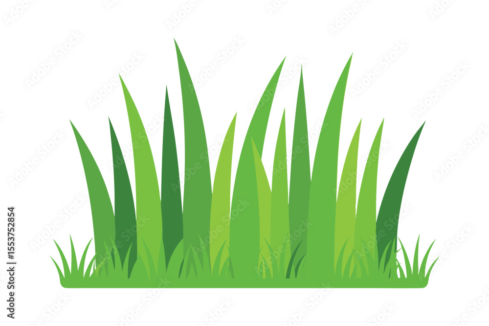 Fototapeta premium green grass on white background