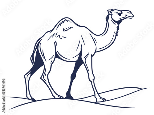 Desert Camel Illustration on White Background
