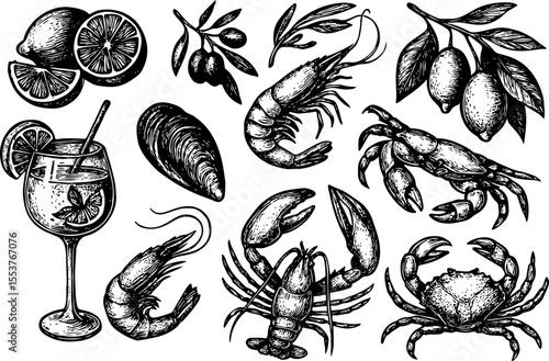 Elegant hand-drawn seafood and citrus elements including shrimp, crab, lobster, mussels, lemon, olives, and a cocktail, perfect for gourmet culinary or Mediterranean-themed designs